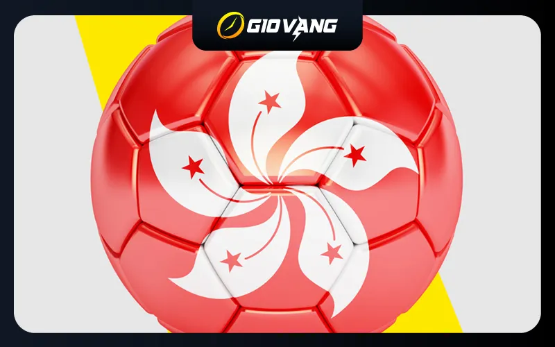 Tỷ Lệ Cược Hongkong Là Gì? Cách Tính Tiền Cá Độ Chi Tiết