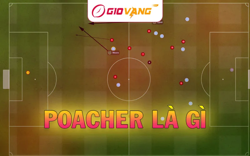 Poacher là gì – Những mẫu Poacher điển hình trong bóng đá