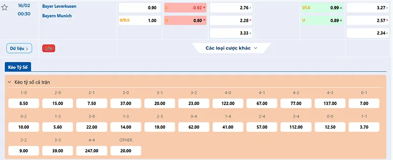 Thông tin tỷ lệ kèo Leverkusen vs Bayern Munich 00h30 ngày 16/02/2025
