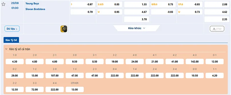 Thông tin tỷ lệ kèo Young Boys vs Slovan 01h00 ngày 29/8/2025