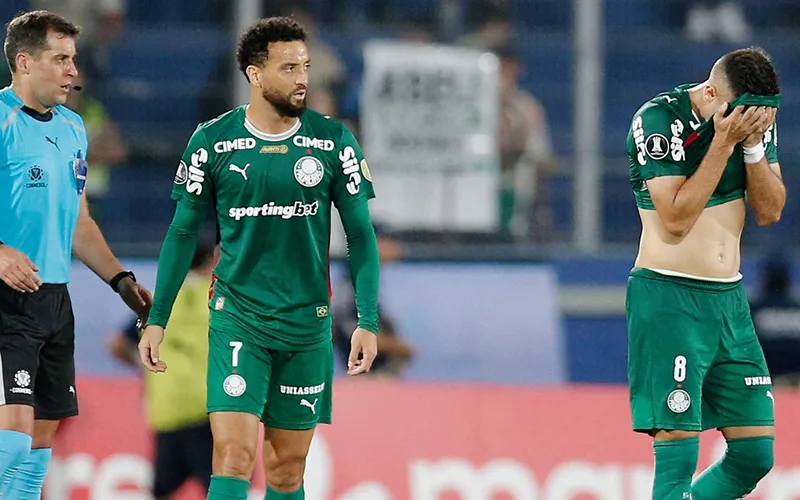 Nhận định soi kèo bóng đá Palmeiras và Chapecoense 02h00 ngày 01/6/2026