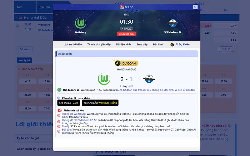 Thông tin tỷ lệ kèo Wolfsburg vs Paderborn 01h30 ngày 22/5/2026