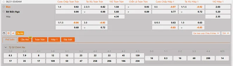 Thông tin tỷ lệ kèo Đức vs Bờ Biển Ngà 03h00 ngày 21/6/2026