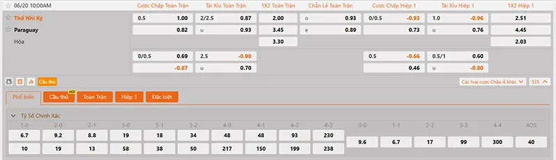 Thông tin tỷ lệ kèo Thổ Nhĩ Kỳ vs Paraguay 10h00 ngày 20/6/2026